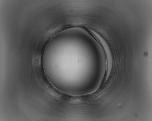 X0000093250454200710031607