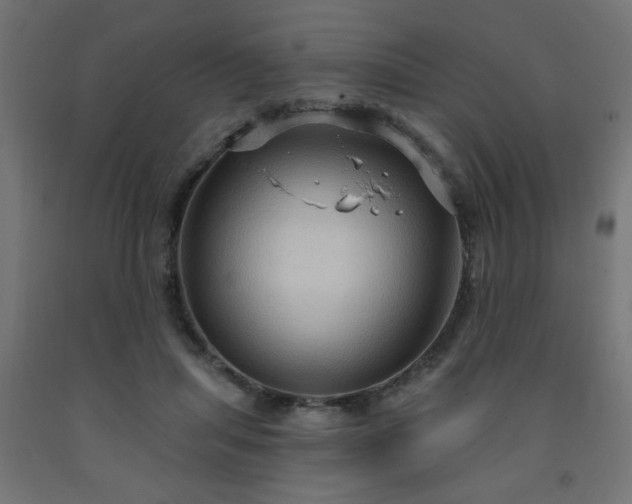 X0000093250455200710031607