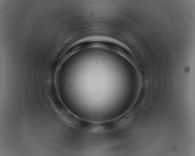 X0000093250456200710031607