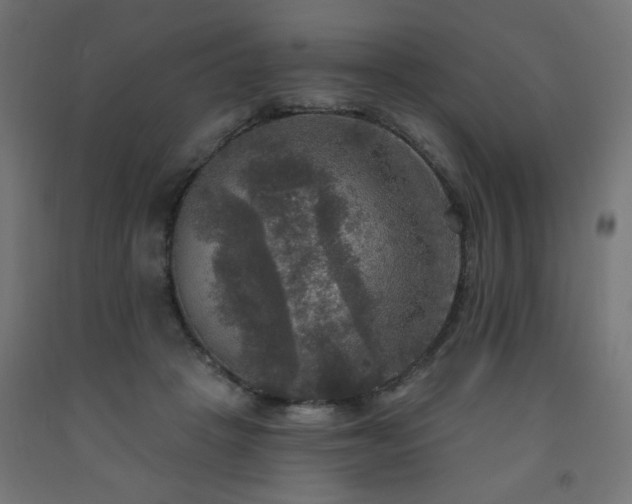 X0000093250457200710031607