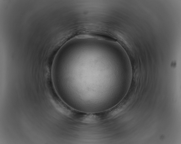 X0000093250459200710031607