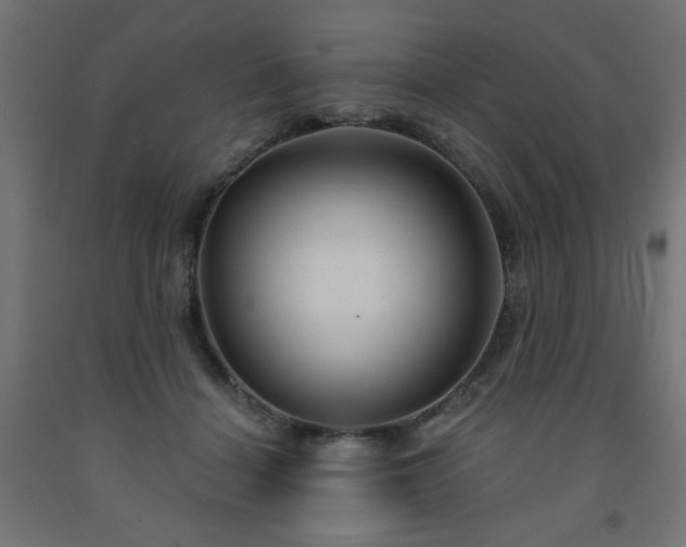 X0000093250460200710031607