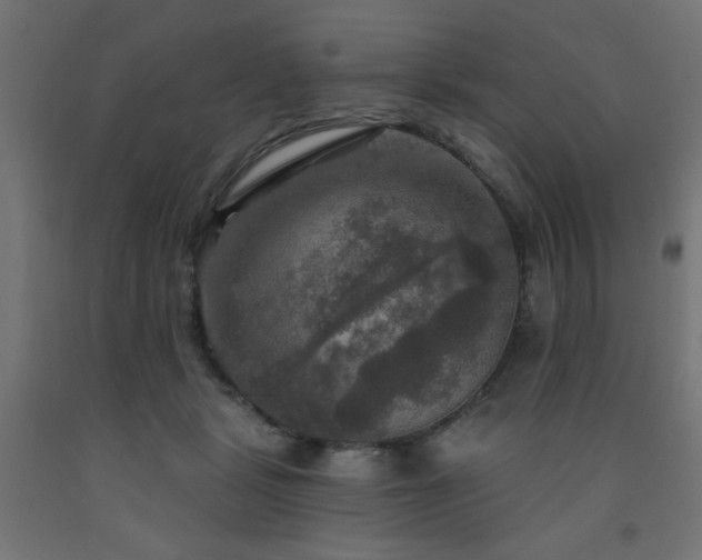 X0000093250461200710031607