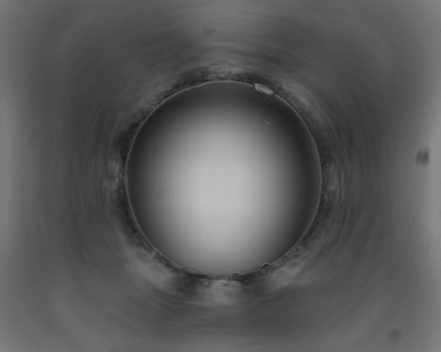 X0000093250463200710031607