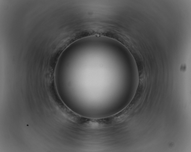 X0000093250464200710031607