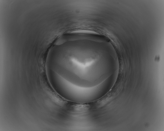 X0000093250465200710031607