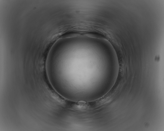 X0000093250466200710031607