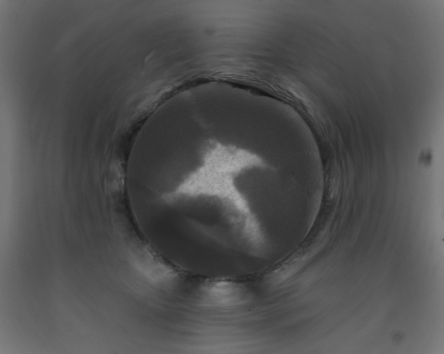 X0000093250467200710031607