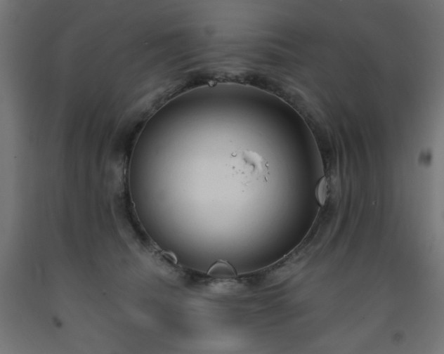 X0000093250468200710031607