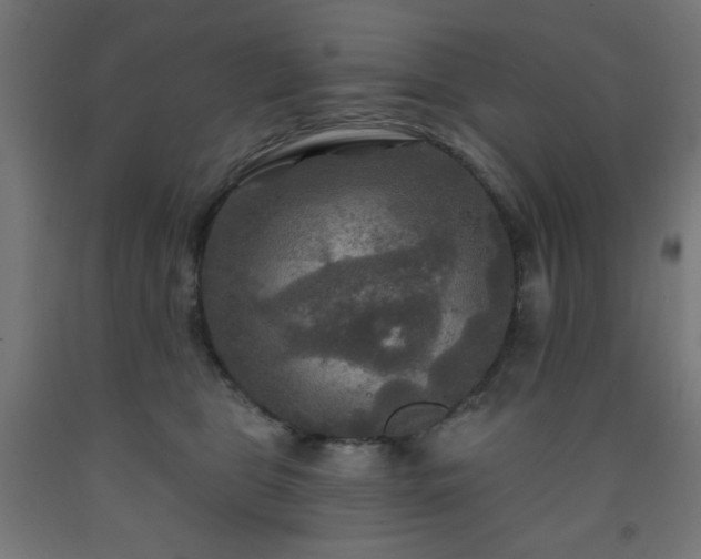 X0000093250469200710031607