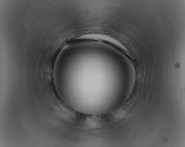 X0000093250470200710031607