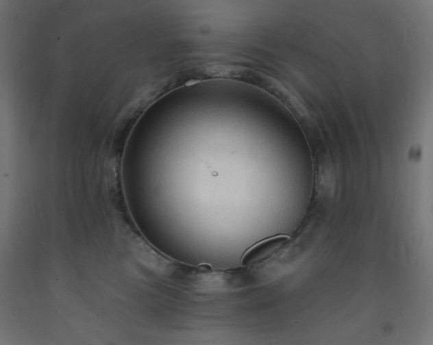 X0000093250473200710031608