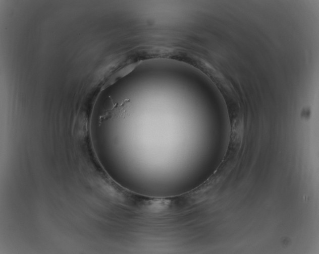 X0000093250474200710031608