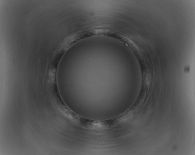 X0000093250475200710031608