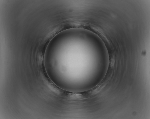 X0000093250476200710031608