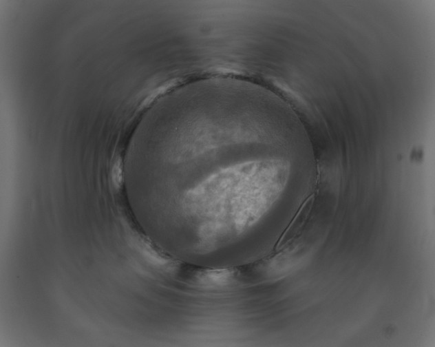 X0000093250479200710031608