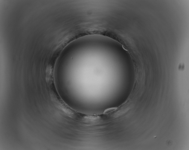 X0000093250480200710031608