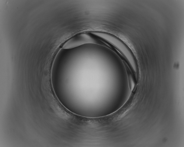 X0000093250481200710031607