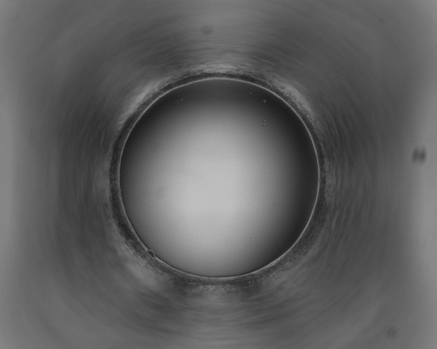 X0000093250482200710031607