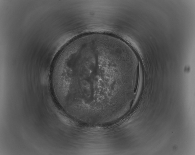X0000093250483200710031607