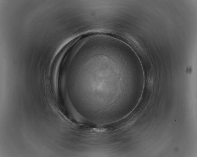 X0000093250484200710031607