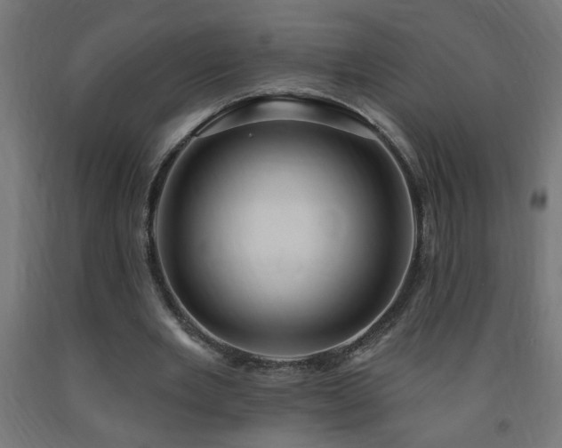 X0000093250485200710031607