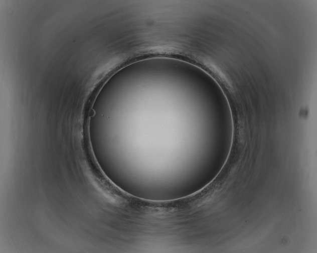 X0000093250486200710031607