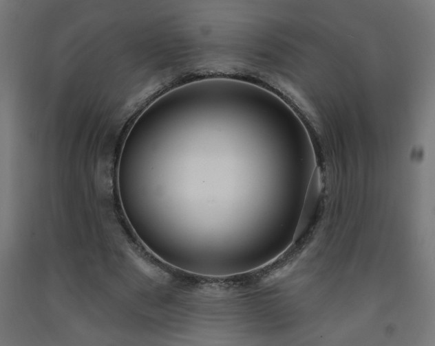 X0000093250489200710031607