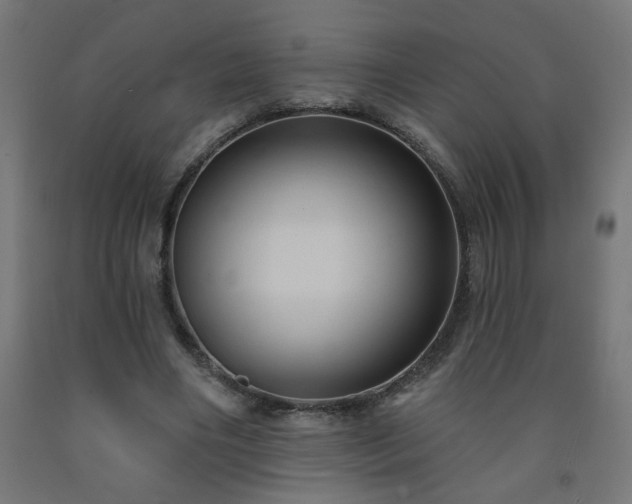 X0000093250490200710031607