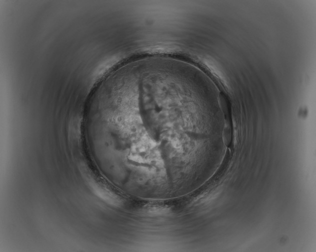 X0000093250491200710031607