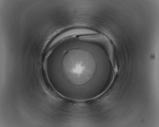 X0000093250492200710031607