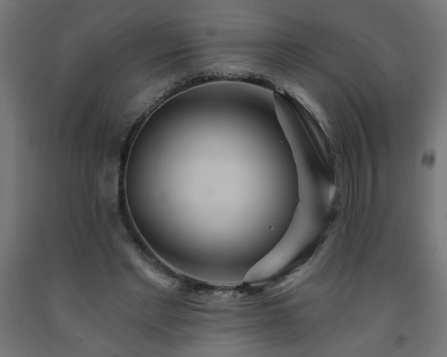 X0000093250493200710031607