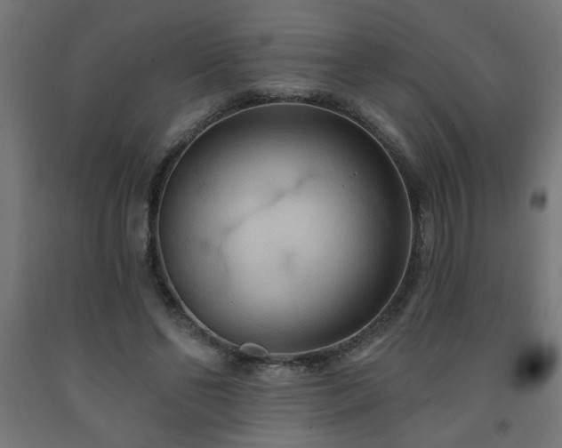 X0000093250494200710031607