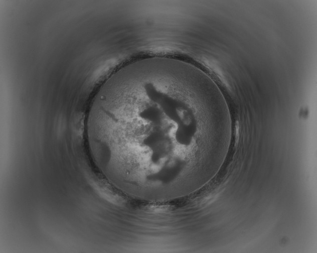 X0000093250495200710031607