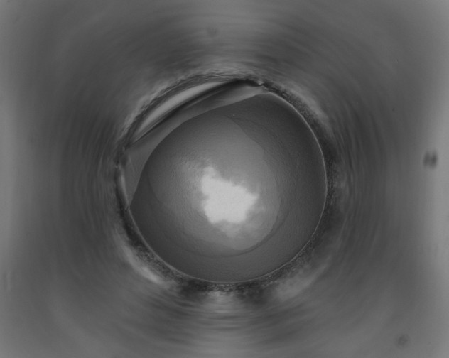 X0000093250496200710031607