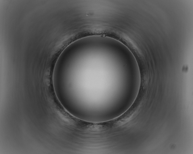 X0000093250497200710031607