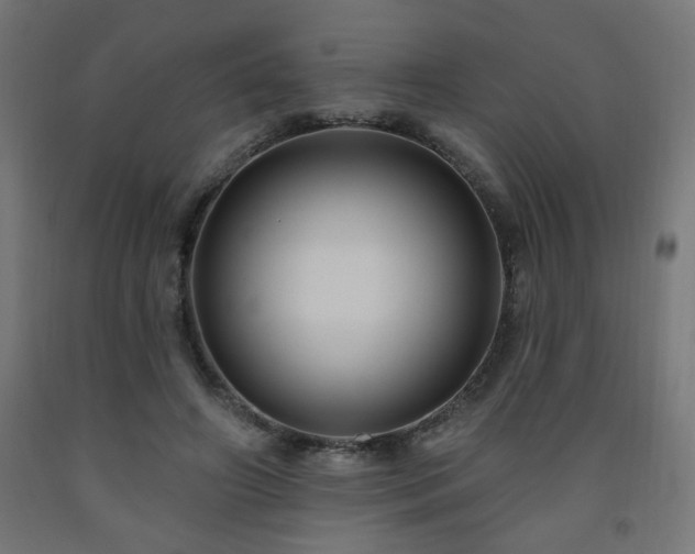 X0000093250498200710031607