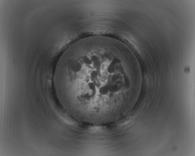 X0000093250499200710031607