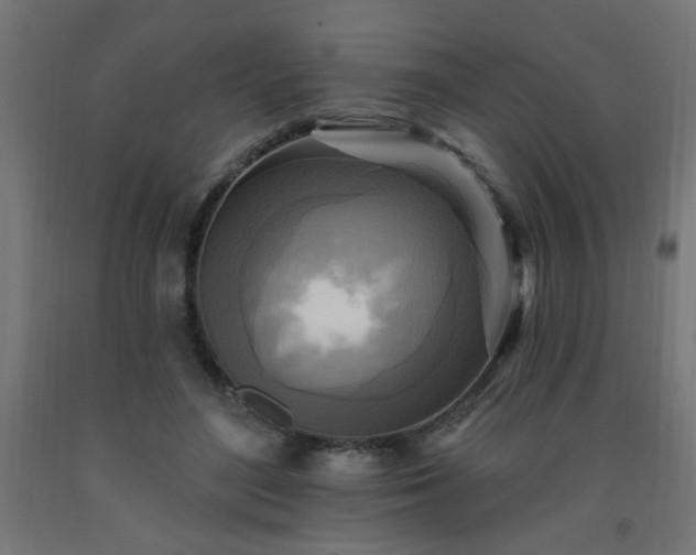 X0000093250500200710031607