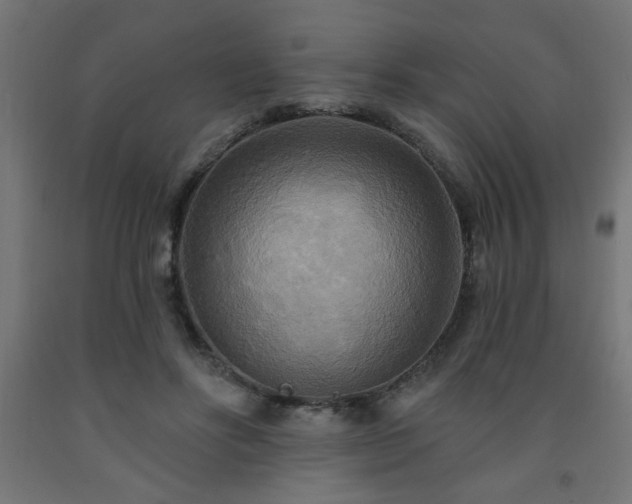 X0000093250502200710031607