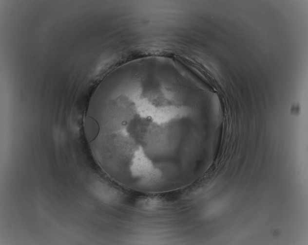 X0000093250503200710031607