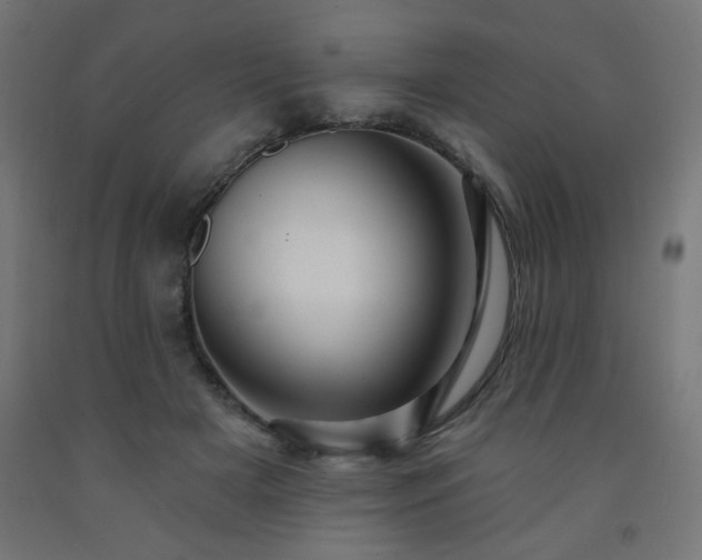 X0000093250505200710031607