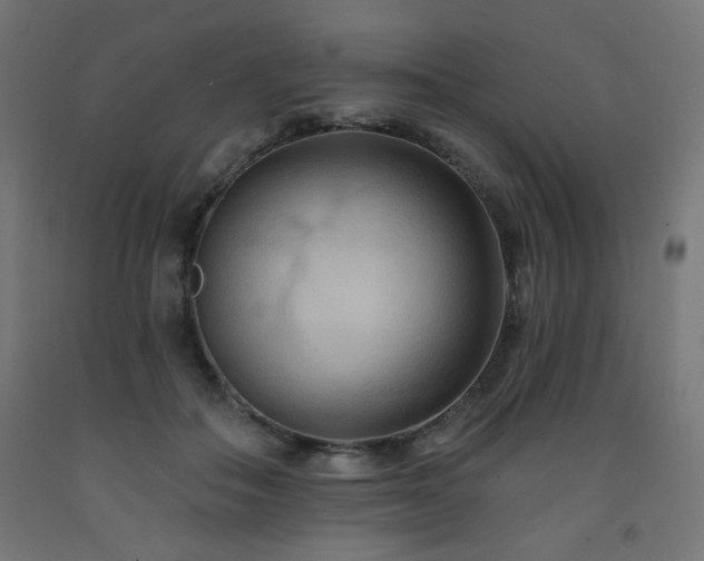 X0000093250506200710031607