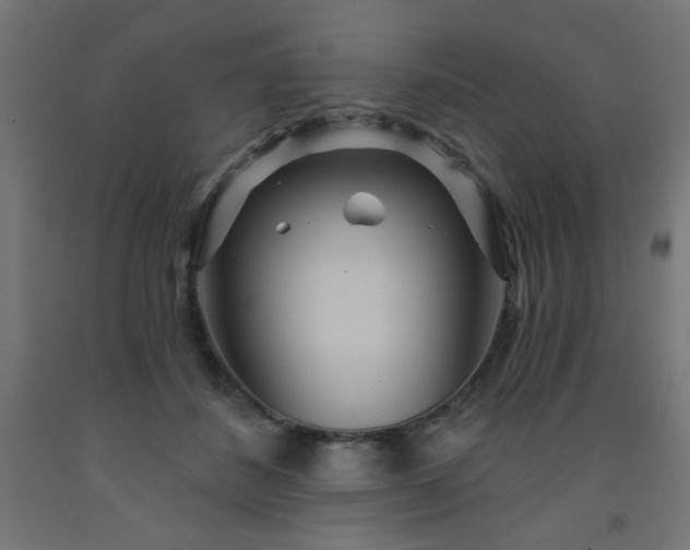 X0000093250508200710031607