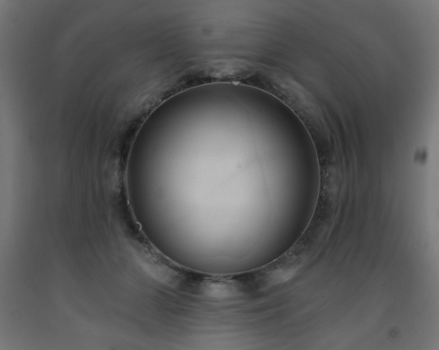 X0000093250510200710031607