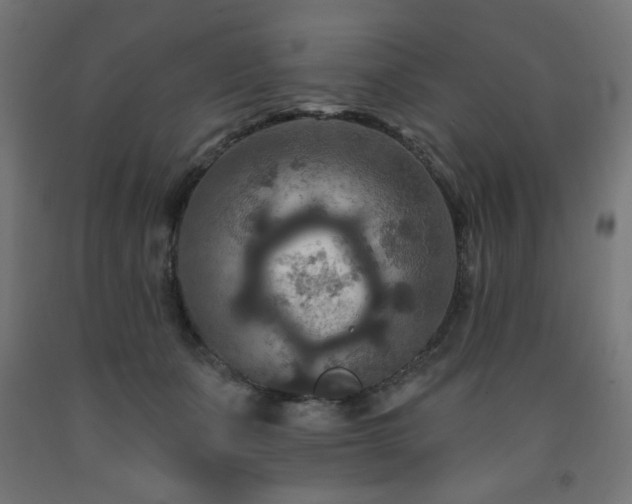 X0000093250511200710031607