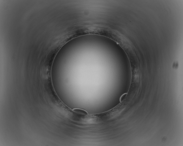 X0000093250514200710031607