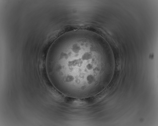 X0000093250515200710031607