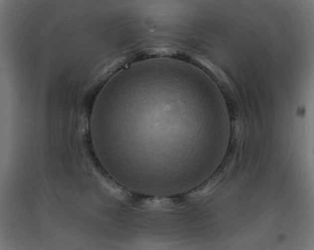 X0000093250517200710031606