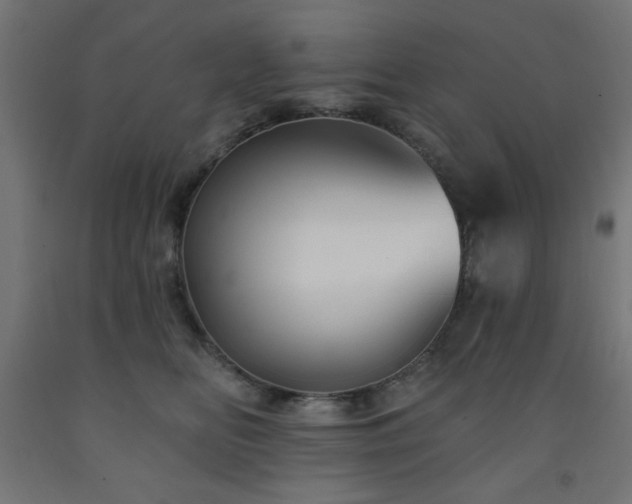 X0000093250518200710031606